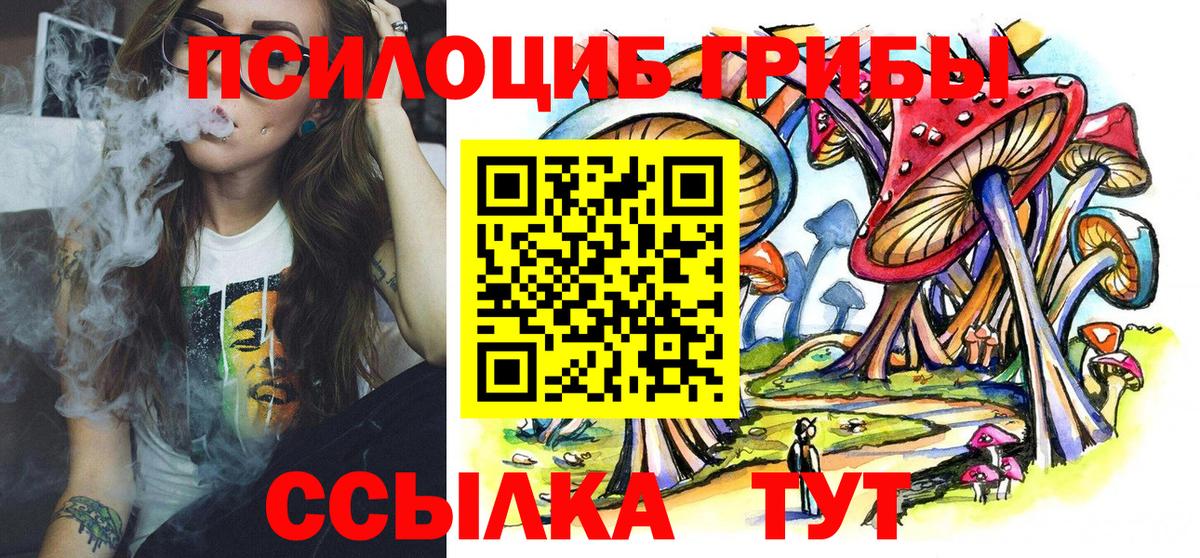 Псилоцибиновые грибы Psilocybine cubensis  Вход с VPN  Бийск 